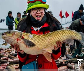 水產(chǎn)養(yǎng)殖系統(tǒng),自動化養(yǎng)殖,解決水產(chǎn)養(yǎng)殖的各種問題