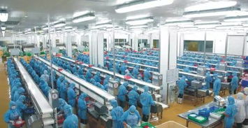 湛江國聯 深耕電商領域產業延伸成效初顯