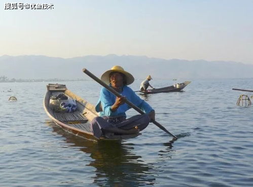 優(yōu)魚技術水質監(jiān)測系統(tǒng),讓水產養(yǎng)殖更加科學