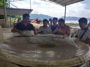 廣西自治區(qū)水產技術推廣總站率專家團隊到梧州調研水產養(yǎng)殖綠色發(fā)展情況