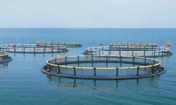 一家物流O2O平臺(tái)完成 D 輪 1.7 億美元融資 | 投資速遞