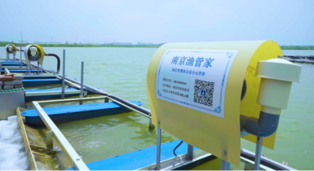 &ldquo;讓農(nóng)民穿著西裝養(yǎng)魚(yú)&rdquo;