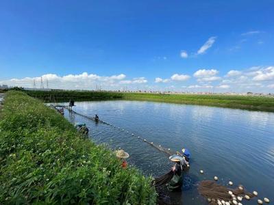 養(yǎng)魚(yú)就是養(yǎng)水,廠家如何研發(fā)有效調(diào)水產(chǎn)品?|陳昌福專(zhuān)欄