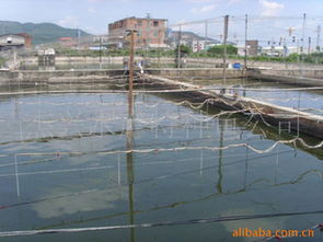 杰興水產(chǎn)特種魚公司