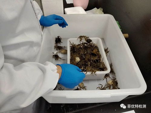 你負(fù)責(zé)水產(chǎn)養(yǎng)殖,我們負(fù)責(zé)病害檢測 菲優(yōu)特降低各類水產(chǎn)養(yǎng)殖風(fēng)險(xiǎn)