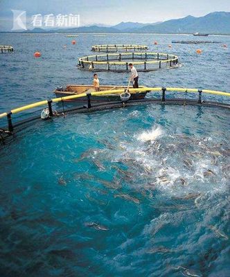上海研發深遠海養殖工船 未來可培育品質接近野生的海魚