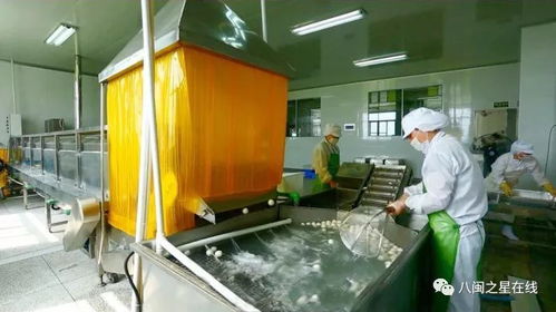 金獎企業(yè) 旭煌食品 巧用科技助力 讓 魚丸 國際旅程更遠