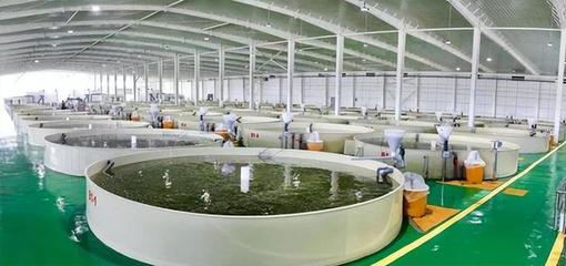 預(yù)測:我國特醫(yī)食品市場需求巨大;安井食品:發(fā)力團餐供應(yīng)鏈