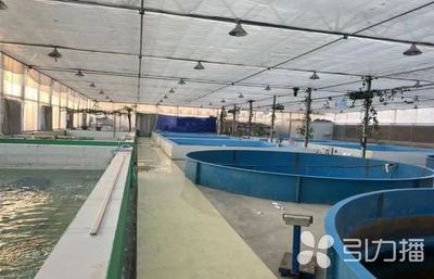 已達14家!蘇州新增6家水產(chǎn)類省級特色優(yōu)勢種苗中心