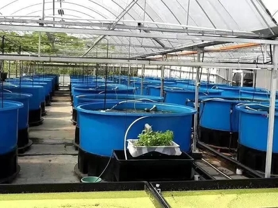 農(nóng)業(yè)農(nóng)村部:&ldquo;五大行動&rdquo;推進水產(chǎn)養(yǎng)殖業(yè)綠色發(fā)展