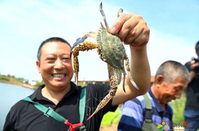 又到一年吃蟹季!2021中國農民豐收節暨第二屆島耳河螃蟹節開幕