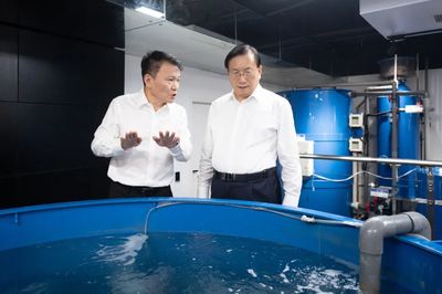 王忠林調研民營企業(yè)發(fā)展并召開座談會