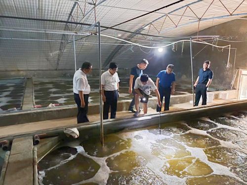 東營市人民政府 部門動(dòng)態(tài) 市海洋發(fā)展和漁業(yè)局局長荊向輝帶隊(duì)開展 進(jìn)漁村 入漁港 上漁船 訪漁民 活動(dòng)