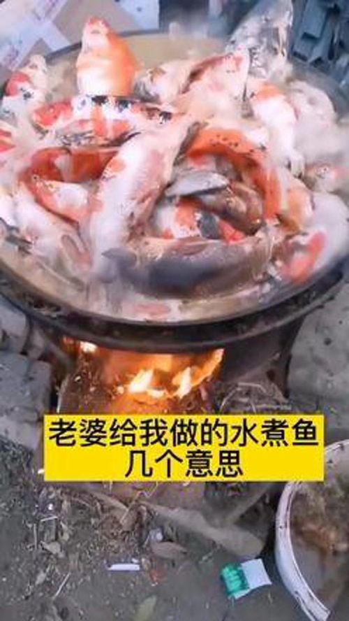 釣魚 魚 農(nóng)村 農(nóng)村生活 水產(chǎn)養(yǎng)殖技術(shù) 捕魚