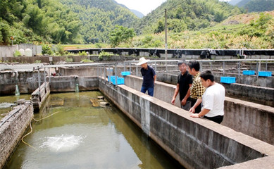 現(xiàn)代養(yǎng)殖人都用這個(gè)方法驅(qū)趕&ldquo;水質(zhì)惡化&rdquo;這只&ldquo;攔路虎&rdquo;!