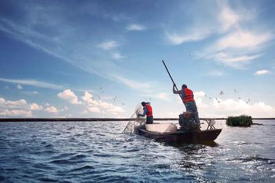 養魚就是養水,廠家如何研發有效調水產品?|陳昌福專欄