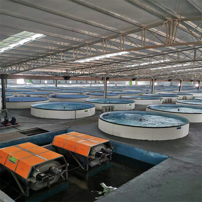 正規的室內循環水養殖上門安裝,更省錢,歡迎咨詢了解