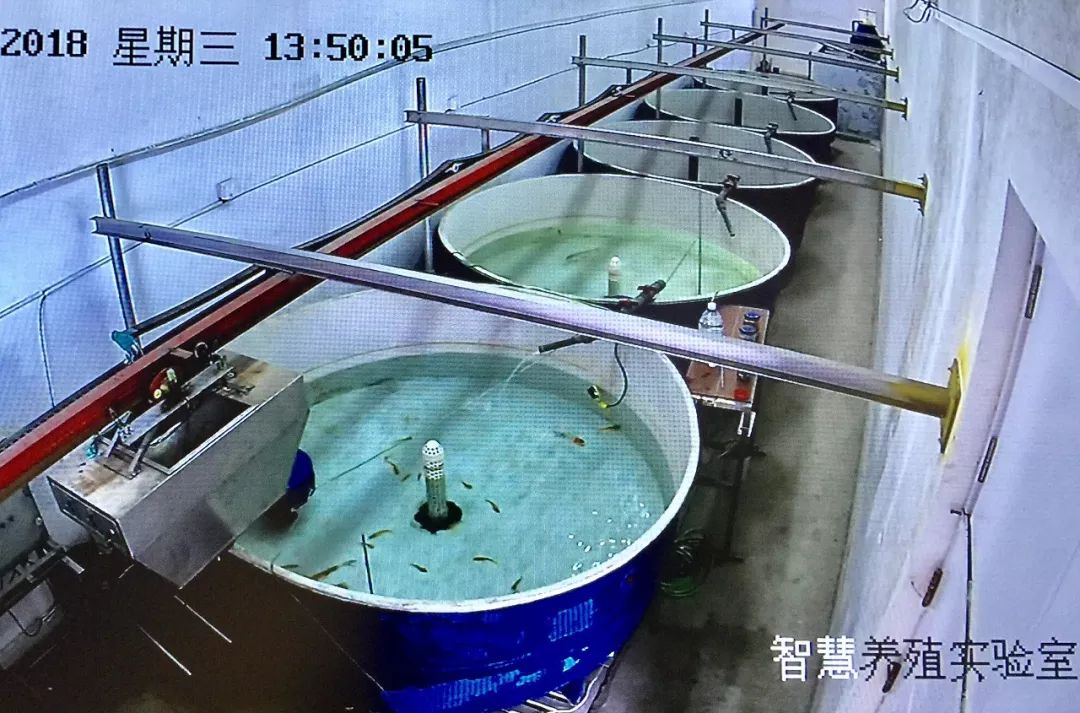 全國媒體看煙臺!海洋強市的&ldquo;煙臺范兒&rdquo;占據(jù)頭條!