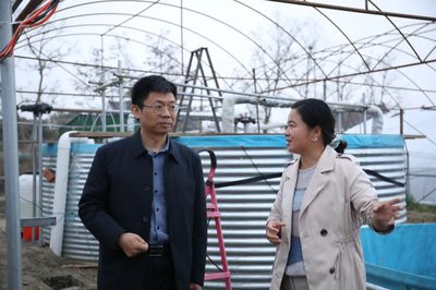 葉霖率隊到江蘇開展招商引資活動