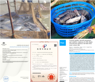 中國水產(chǎn)科學(xué)研究院珠江所養(yǎng)殖室團隊研發(fā)成果助推脆肉羅非魚產(chǎn)業(yè)發(fā)展