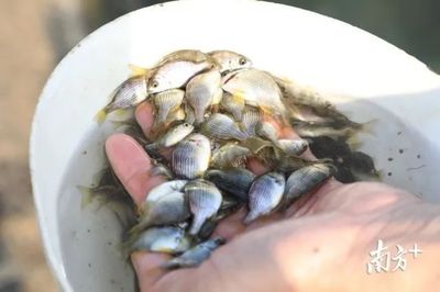 雄起!構(gòu)建海上開放&ldquo;牧場&rdquo;,這里要打造百億現(xiàn)代漁業(yè)產(chǎn)業(yè)集群!