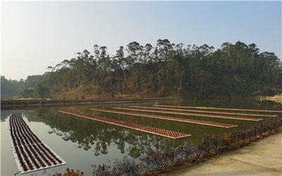 市中區(qū):專業(yè)指揮部&ldquo;夯基&rdquo; 園區(qū)建設(shè)出彩出效