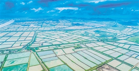 我市又一項省重點領域研發計劃項目落地實施 助推水產養殖朝工業化方向發展