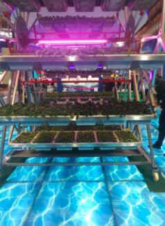 【記者觀察】信息技術的發展給傳統農業帶來了怎樣的改變?