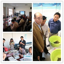 展?jié)O民養(yǎng)殖成果,推綠色水產(chǎn)養(yǎng)殖 上海市金山區(qū)舉辦首屆水產(chǎn)養(yǎng)殖豐收節(jié)