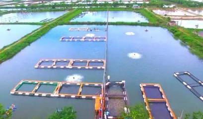 喜訊！斗門8家企業榮登省級水產養殖榜單，實力彰顯產業新高度