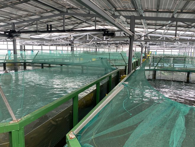 浙江首批“未來農場”公布 十大休閑觀光新地標，體驗未來農業新魅力