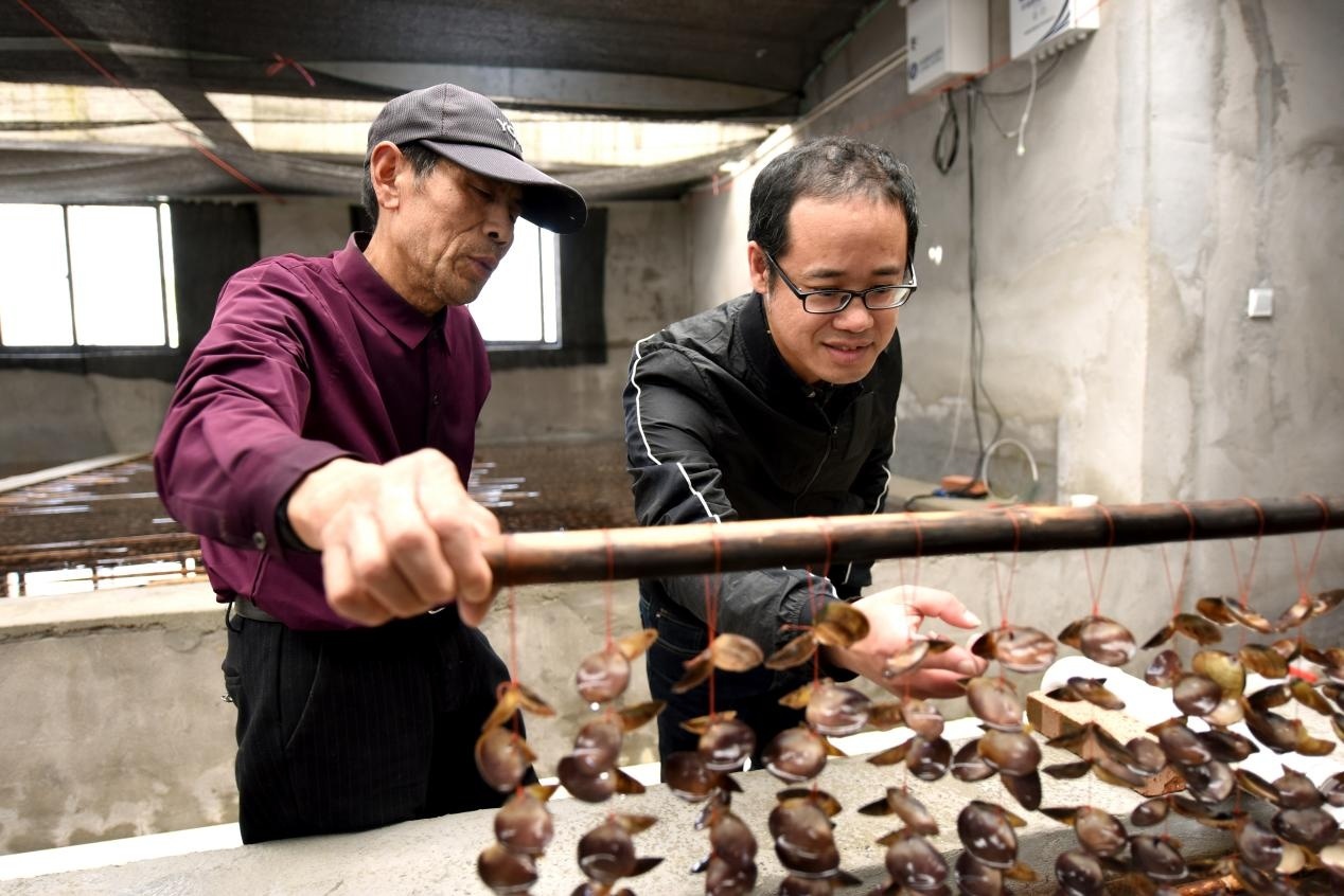 溫州洞頭 巡視整改出成效，海島漁業大“聚變”